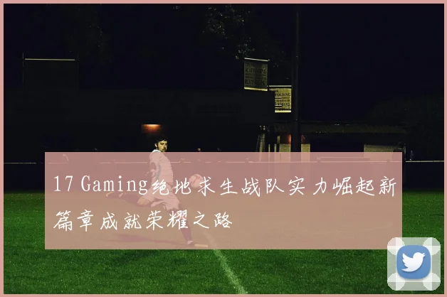 17 Gaming绝地求生战队实力崛起新篇章成就荣耀之路