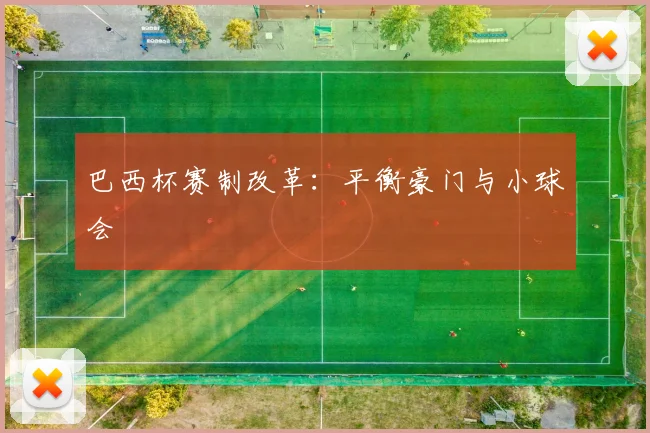 巴西杯赛制改革：平衡豪门与小球会