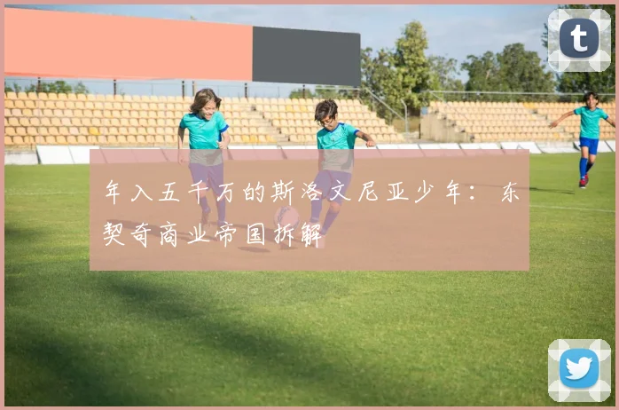 年入五千万的斯洛文尼亚少年：东契奇商业帝国拆解