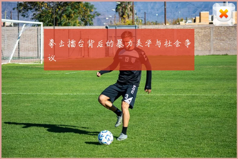 拳击擂台背后的暴力美学与社会争议
