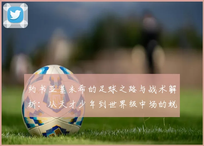 约书亚基米希的足球之路与战术解析：从天才少年到世界级中场的蜕变