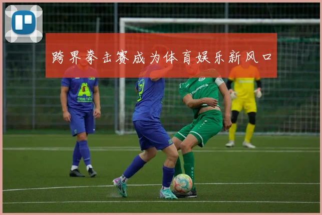 跨界拳击赛成为体育娱乐新风口