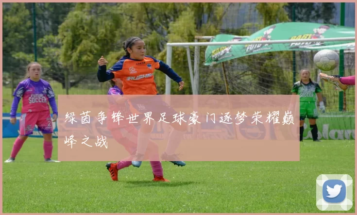 绿茵争锋世界足球豪门逐梦荣耀巅峰之战