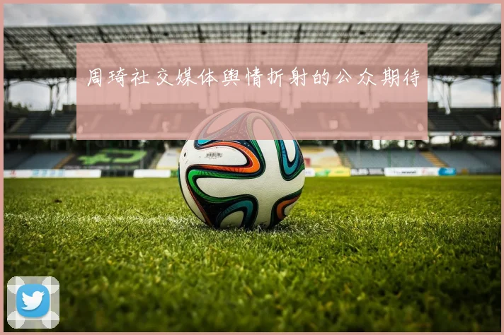 周琦社交媒体舆情折射的公众期待