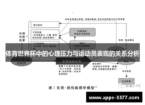 体育世界杯中的心理压力与运动员表现的关系分析