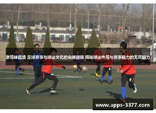 激情绿茵场 足球赛事与球迷文化的完美碰撞 揭秘球迷热情与赛事魅力的无尽魅力