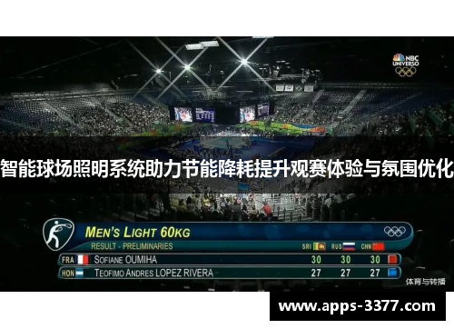 智能球场照明系统助力节能降耗提升观赛体验与氛围优化