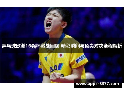 乒乓球欧洲16强杯激战回顾 精彩瞬间与顶尖对决全程解析