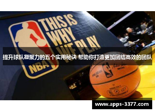 提升球队凝聚力的五个实用秘诀 帮助你打造更加团结高效的团队